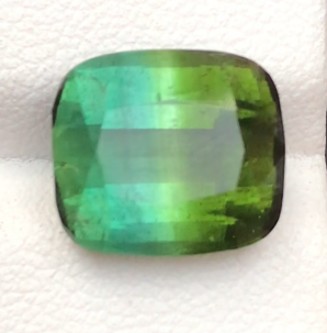 Bicolour Tourmaline